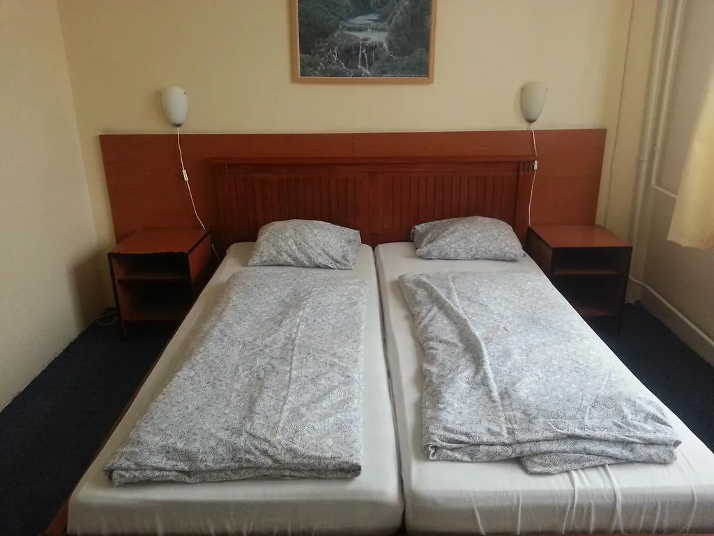 Carmen Pension Bed & Breakfast Budapest